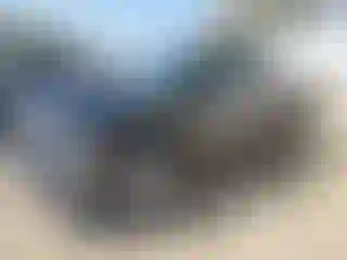 Vehicle Image- 2004 Dodge RAM 1500