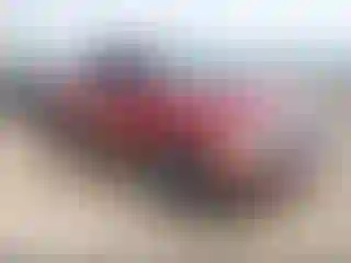 Vehicle Image- 2004 Dodge RAM 1500
