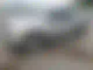 Vehicle Image- 2004 Dodge RAM 1500