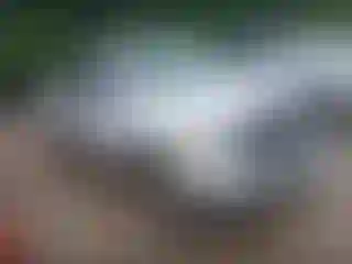 Vehicle Image- 2004 Dodge RAM 1500