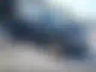 Vehicle Image- 2005 Dodge RAM 1500