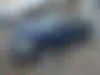 Vehicle Image- 2004 Dodge RAM 1500