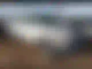 Vehicle Image- 2007 Dodge RAM 1500