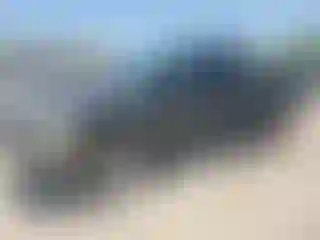 Vehicle Image- 2008 Dodge RAM 1500