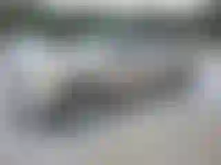 Vehicle Image- 2002 Dodge RAM 1500