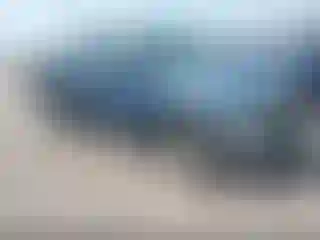Vehicle Image- 2002 Dodge RAM 1500
