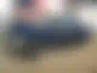 Vehicle Image- 2004 Dodge RAM 1500