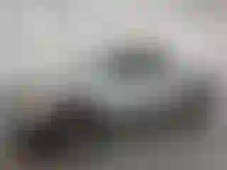 Vehicle Image- 2007 Dodge RAM 1500