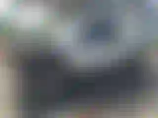 Vehicle Image- 2004 Dodge RAM 1500