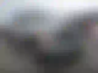 Vehicle Image- 2002 Dodge RAM 1500