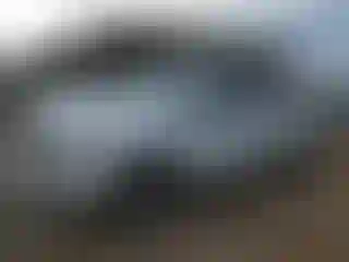 Vehicle Image- 2008 Dodge RAM 1500