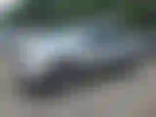 Vehicle Image- 2002 Dodge RAM 1500