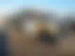 Vehicle Image- 2006 Dodge RAM 1500