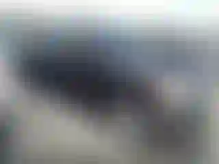 Vehicle Image- 2008 Dodge RAM 1500