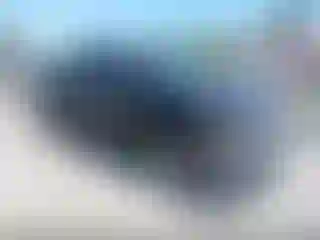 Vehicle Image- 2002 Dodge RAM 1500
