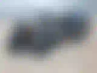 Vehicle Image- 2002 Dodge RAM 1500
