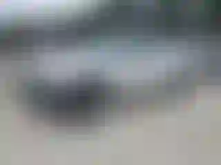 Vehicle Image- 2008 Dodge Dakota