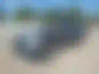 Vehicle Image- 2005 Dodge Dakota