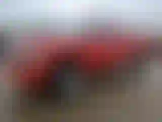 Vehicle Image- 2008 Dodge Dakota