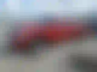 Vehicle Image- 2008 Dodge Dakota
