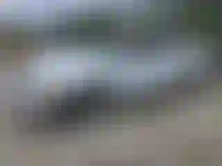 Vehicle Image- 2005 Dodge Dakota