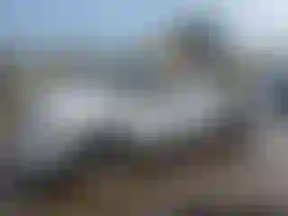 Vehicle Image- 2006 Dodge Dakota
