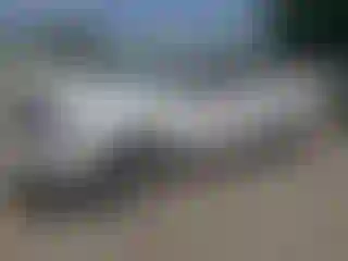 Vehicle Image- 2006 Dodge Dakota