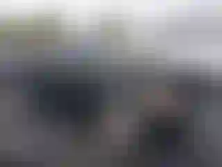 Vehicle Image- 2004 Dodge Dakota