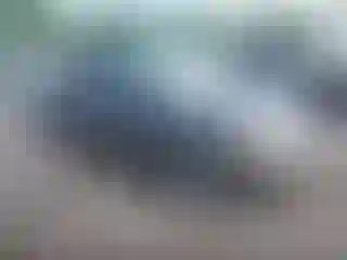 Vehicle Image- 2004 Dodge Dakota