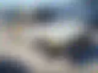Vehicle Image- 2003 Dodge Dakota