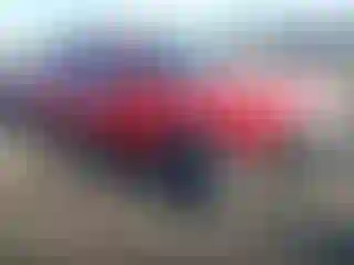 Vehicle Image- 2004 Dodge Dakota