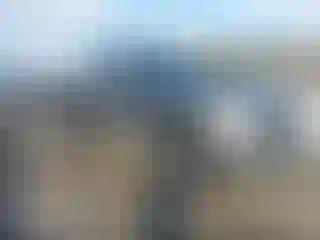 Vehicle Image- 2007 Dodge RAM 1500