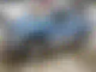Vehicle Image- 2004 Dodge RAM 1500