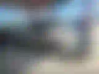 Vehicle Image- 2004 Dodge RAM 1500