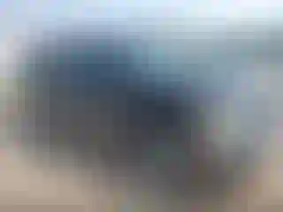 Vehicle Image- 2004 Dodge RAM 1500