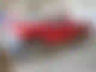 Vehicle Image- 2004 Dodge RAM 1500