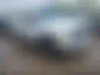 Vehicle Image- 2002 Dodge RAM 1500