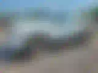 Vehicle Image- 2003 Dodge RAM 1500