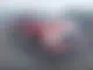 Vehicle Image- 2007 Dodge RAM 1500