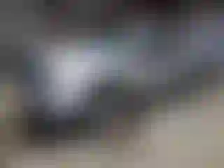 Vehicle Image- 2008 Dodge RAM 1500