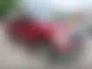 Vehicle Image- 2007 Dodge RAM 1500
