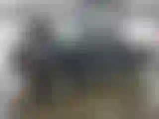 Vehicle Image- 2007 Dodge RAM 1500