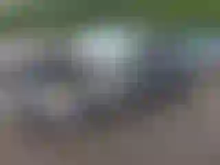 Vehicle Image- 2008 Dodge RAM 1500