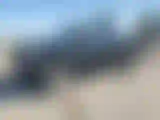 Vehicle Image- 2007 Dodge RAM 1500