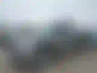 Vehicle Image- 2008 Dodge RAM 1500