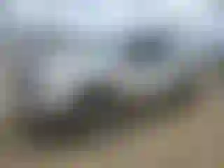 Vehicle Image- 2008 Dodge RAM 1500