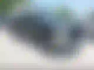 Vehicle Image- 2007 Dodge RAM 1500