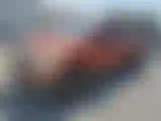 Vehicle Image- 2008 Dodge RAM 1500