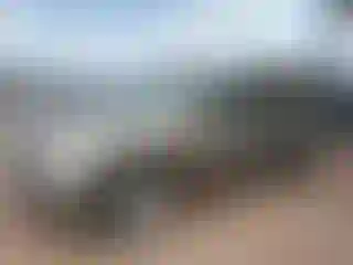Vehicle Image- 2007 Dodge RAM 1500