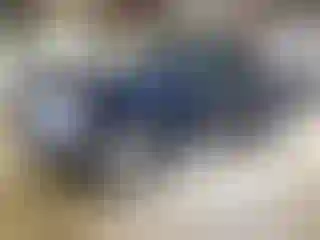 Vehicle Image- 2007 Dodge RAM 1500